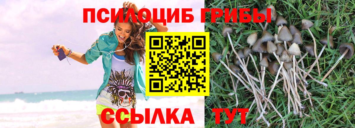 Подольск  Галлюциногенные грибы Cubensis  Галлюциногенные грибы GOLDEN TEACHER  Вход с VPN 