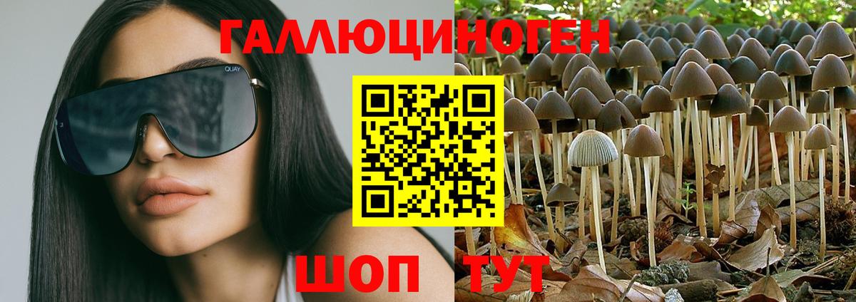 Галлюциногенные грибы мухоморы Подольск